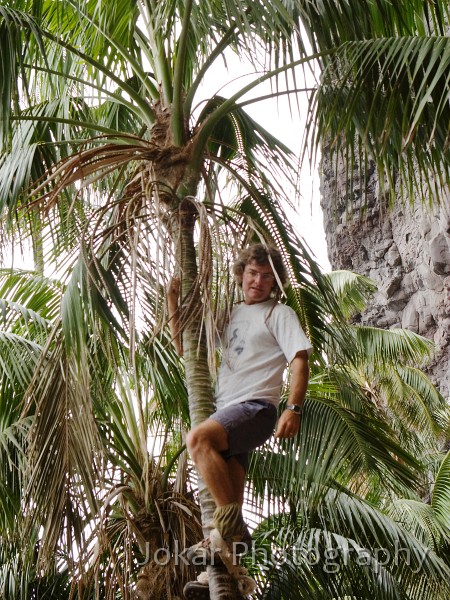 Lord Howe Island_20061211_007.jpg